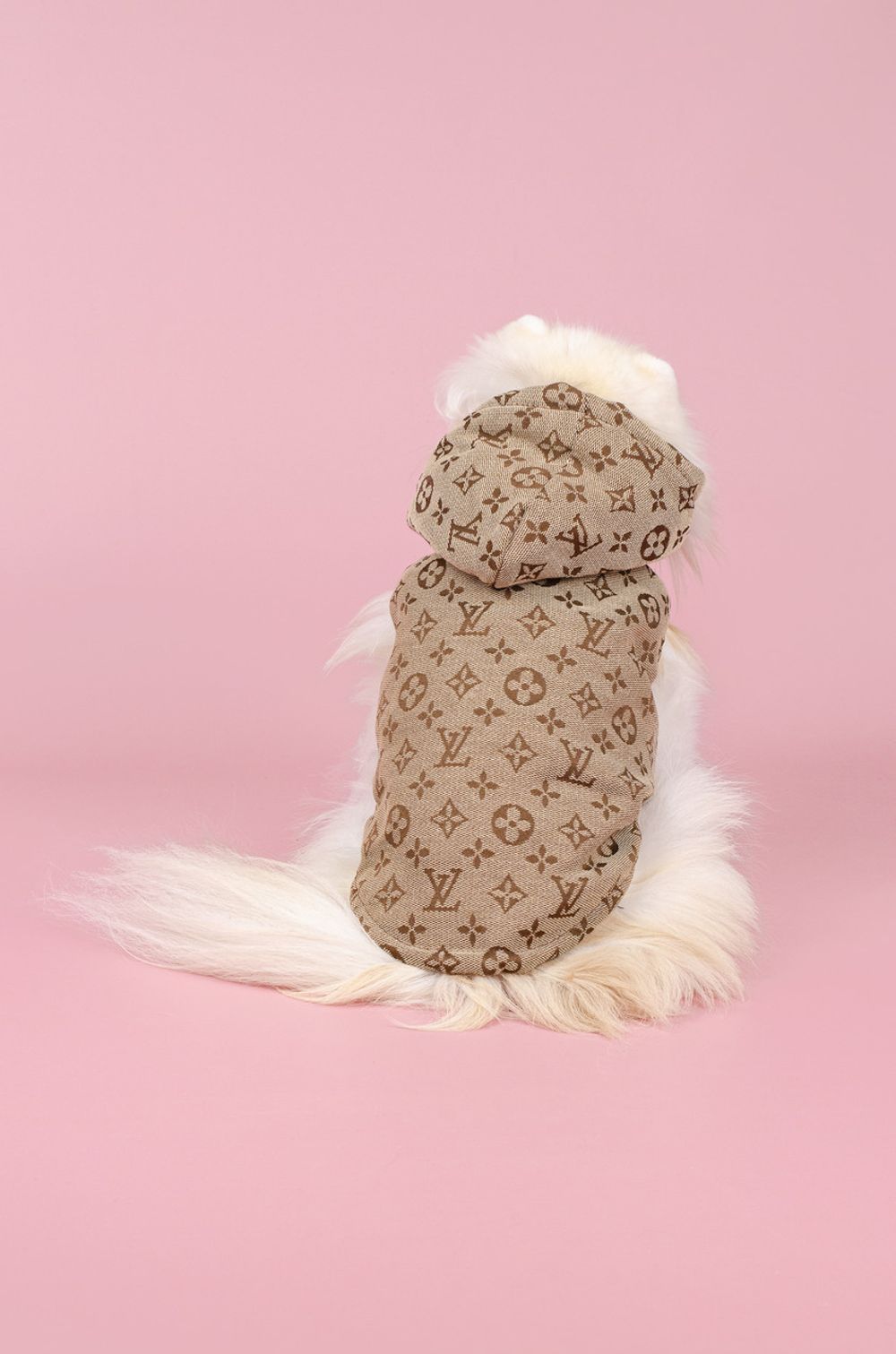 Жилетка для собак з капюшоном Louis Vuitton S бежевий