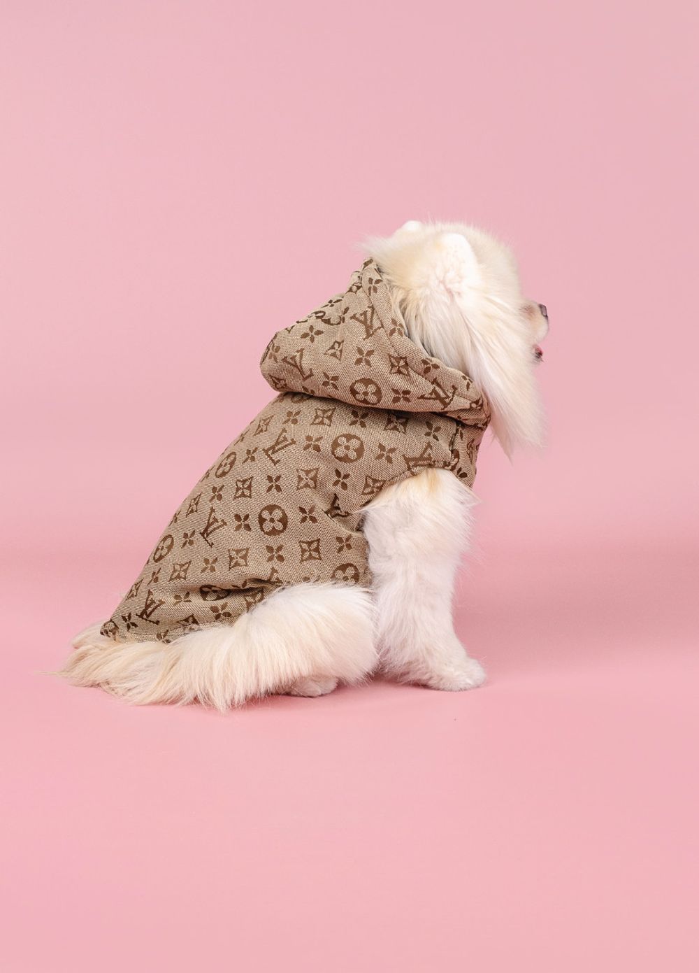 Жилетка для собак з капюшоном Louis Vuitton S бежевий