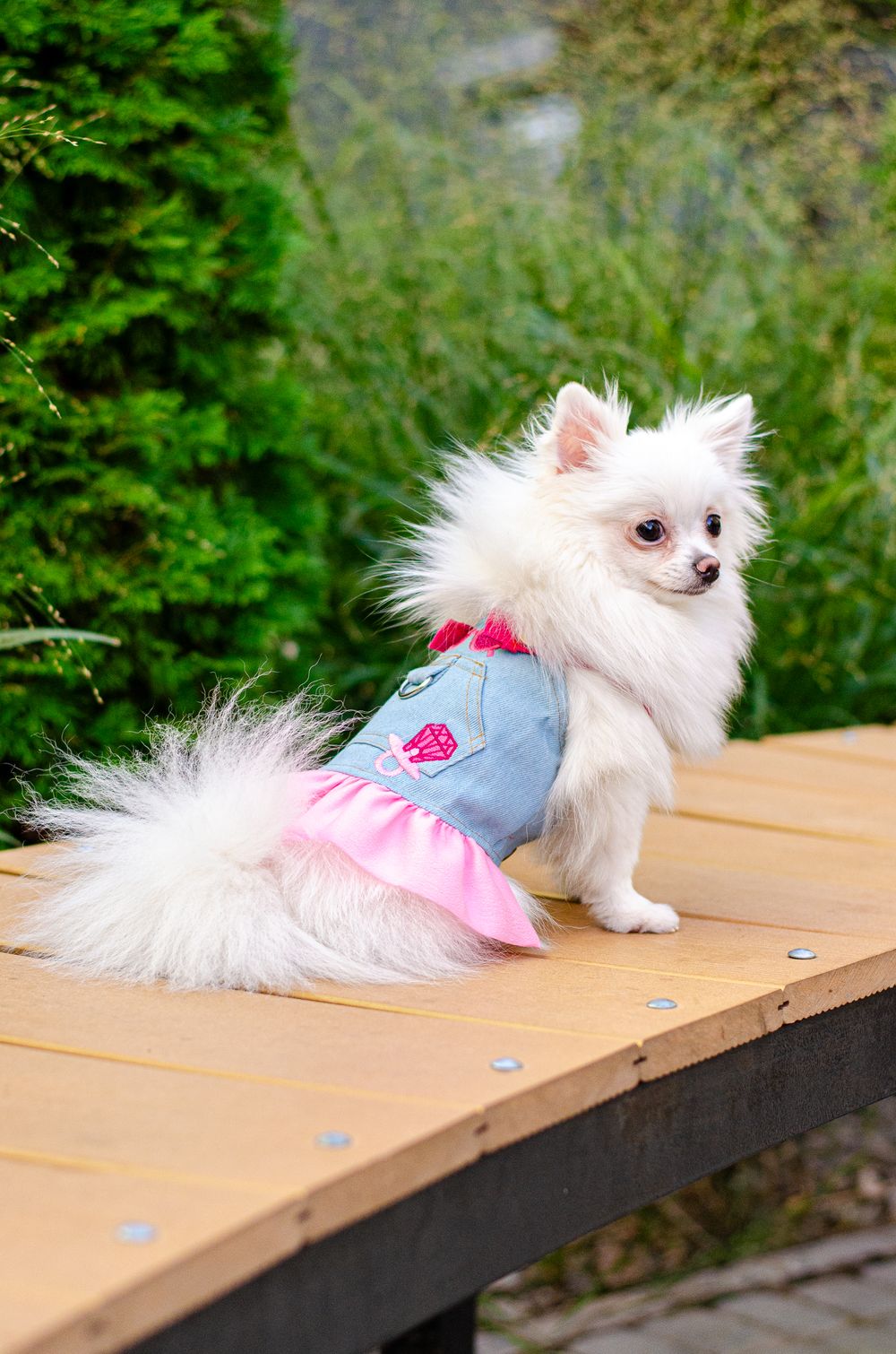 Сукня для собак PetCircle Sweetheart Denim XS