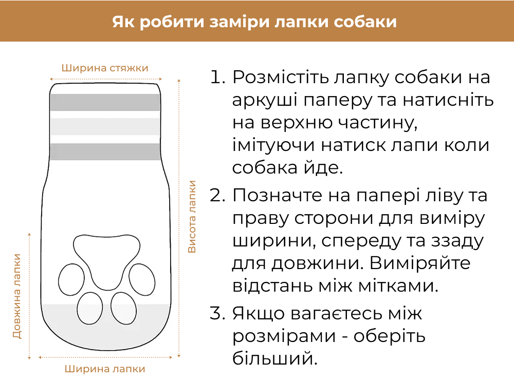 Як робити замір лапки собаки