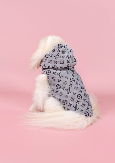 Жилетка для собак c капюшоном  Louis Vuitton